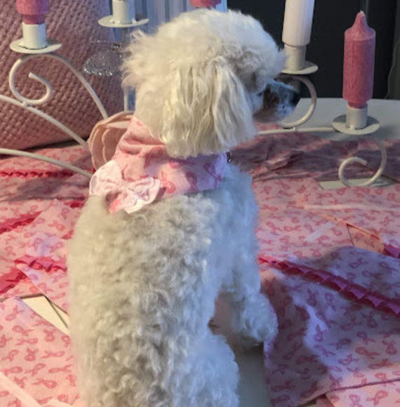 Meet your Posher, Annette - Picture 1 of 1